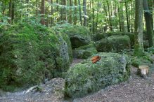 Druidenhain (3)