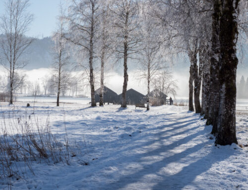 Kochelsee – Winter